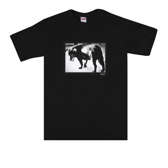 Supreme Other - 2022 Supreme Daid_ Moriyama Dog Tee 'Black'